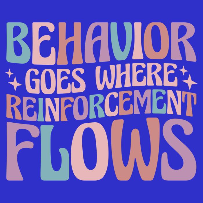 Behavior Goes Where Reinforcement Flows Behavior Analyst Cute Gift Mousepad