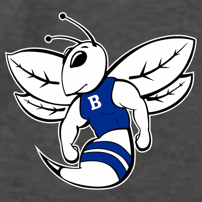 Bryant Hornets Vector Backpack