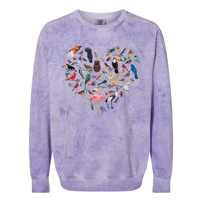 Bird Heart Birding Bird Watching Birder Bird Watcher Cute Gift Colorblast Crewneck Sweatshirt