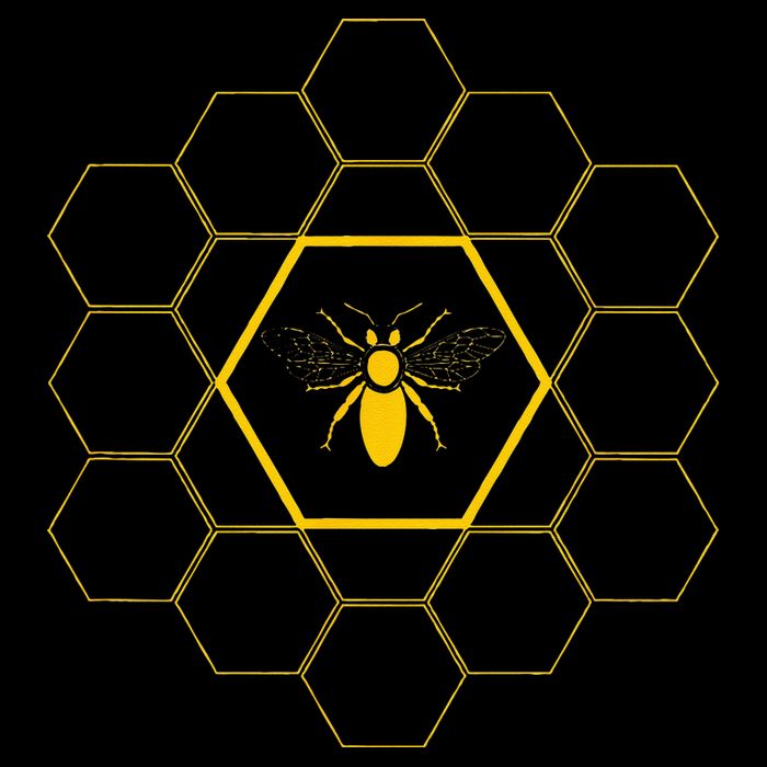 Bee Honeycomb Beekeeper Beekeeping Drawstring Bag