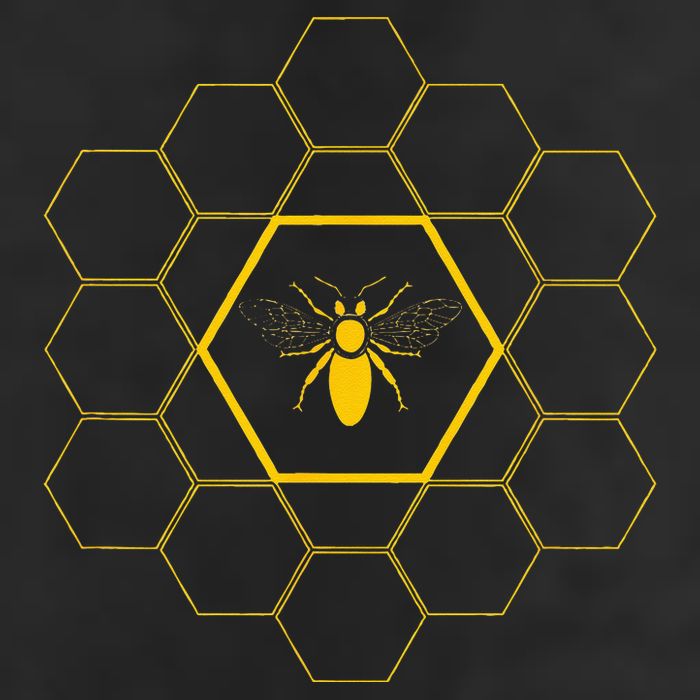 Bee Honeycomb Beekeeper Beekeeping 7 Panel Mesh Trucker Snapback Hat