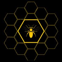 Bee Honeycomb Beekeeper Beekeeping 16 in Basic Backpack