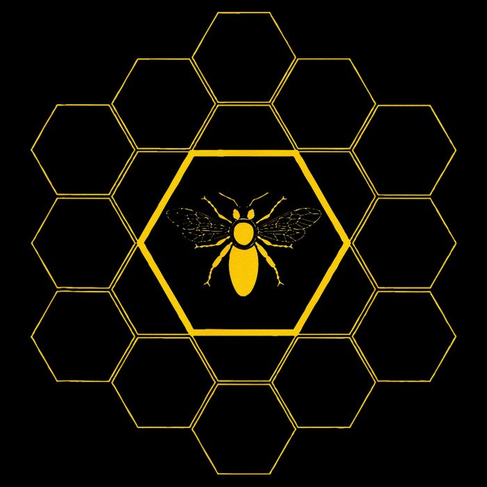 Bee Honeycomb Beekeeper Beekeeping 16 in Basic Backpack