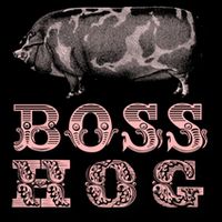 Boss Hog Cropped Pullover Crew