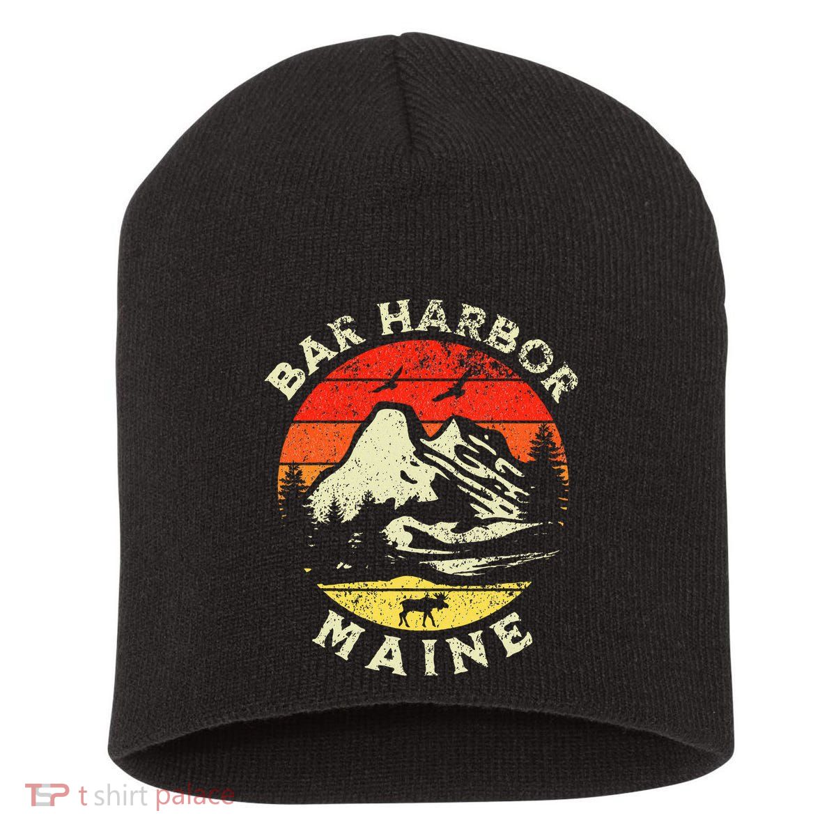 Bar Harbor Short Acrylic Beanie