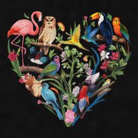 Bird Heart Birding Bird Watching Birder Bird Watcher Design Ladies PosiCharge Tri-Blend Wicking Tank