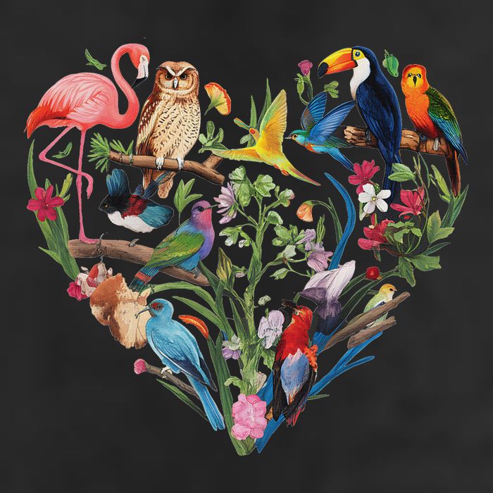 Bird Heart Birding Bird Watching Birder Bird Watcher Design Crop Fleece Hoodie