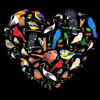 Bird Heart Birding Bird Watching Birder Bird Watcher Backpack