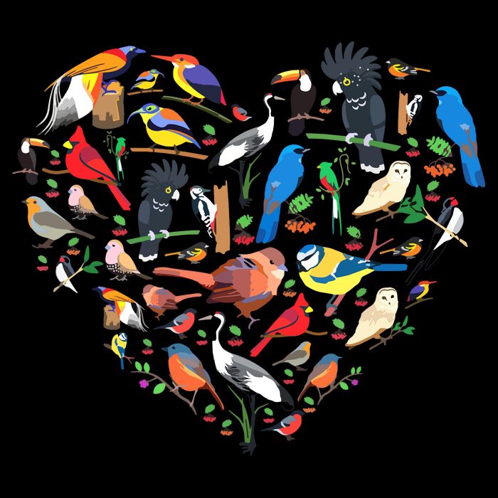 Bird Heart Birding Bird Watching Birder Bird Watcher Backpack