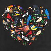 Bird Heart Birding Bird Watching Birder Bird Watcher Trucker Hat