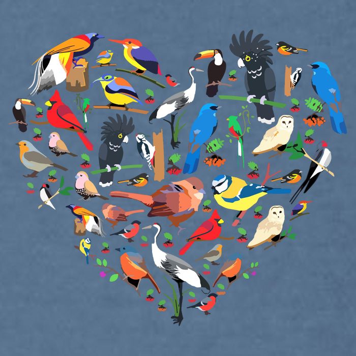 Bird Heart Birding Bird Watching Birder Bird Watcher Garment-Dyed Sweatshirt