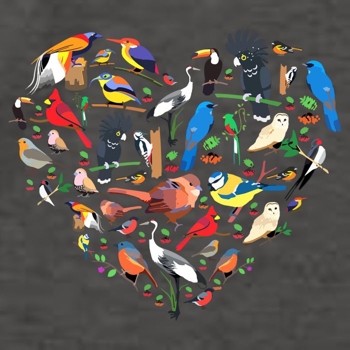 Bird Heart Birding Bird Watching Birder Bird Watcher Vector Backpack