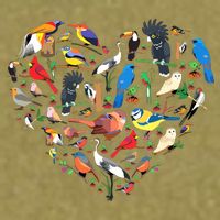 Bird Heart Birding Bird Watching Birder Bird Watcher Garment-Dyed Women's Muscle Tee