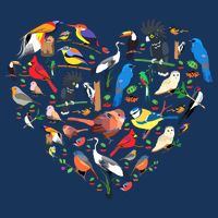 Bird Heart Birding Bird Watching Birder Bird Watcher Button
