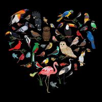 Bird Heart Birding Bird Watching Birder Bird Watcher 7-Panel Snapback Hat