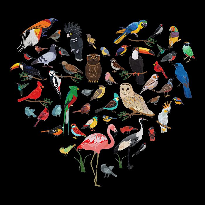 Bird Heart Birding Bird Watching Birder Bird Watcher 7-Panel Snapback Hat