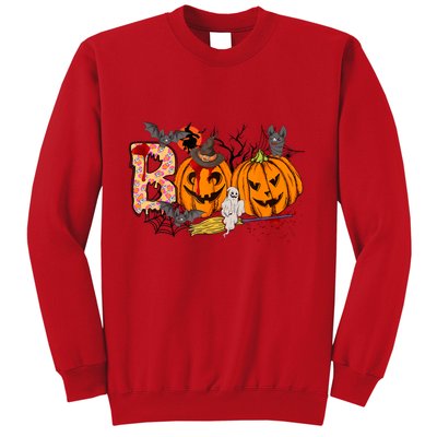 Boo Halloween Costume Spiders Ghosts Pumkin & Witch Hat Sweatshirt