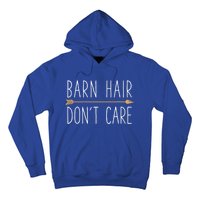 Barn Hair Don't Care Horse Funny Farm Horseback Riding Gift Hoodie