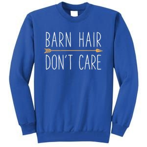 Barn Hair Don't Care Horse Funny Farm Horseback Riding Gift Tall Sweatshirt