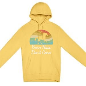 Barn Hair Dont Care Horse Rider Riding Racing Equestrian Run Meaningful Gift Premium Pullover Hoodie