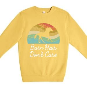 Barn Hair Dont Care Horse Rider Riding Racing Equestrian Run Meaningful Gift Premium Crewneck Sweatshirt