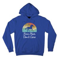 Barn Hair Dont Care Horse Rider Riding Racing Equestrian Run Meaningful Gift Hoodie