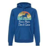 Barn Hair Dont Care Horse Rider Riding Racing Equestrian Run Meaningful Gift Premium Hoodie