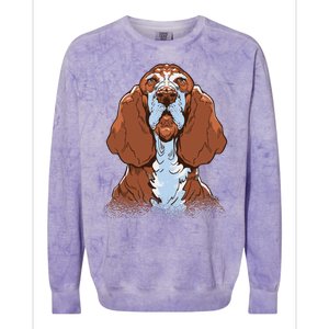 Basset Hound Dog Colorblast Crewneck Sweatshirt