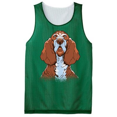 Basset Hound Dog Mesh Reversible Basketball Jersey Tank