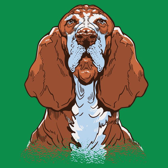 Basset Hound Dog Toddler T-Shirt