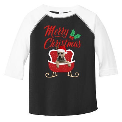 Blue Heeler Dog Merry Christmas Design For The Holiday Season! Toddler Fine Jersey T-Shirt