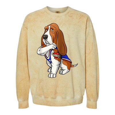 Basset Hound Dog Love Mom Puppy Owner Colorblast Crewneck Sweatshirt