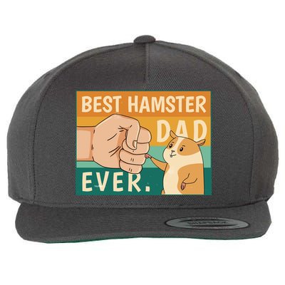 Best Hamster Dad Ever Retro Wool Snapback Cap