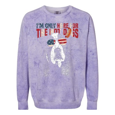 Basset Hound Funny 4th Of July Pup Colorblast Crewneck Sweatshirt