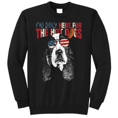 Basset Hound Funny 4th Of July Pup Tall Sweatshirt