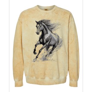 Beautiful Horse Graphic Horse Lover Colorblast Crewneck Sweatshirt