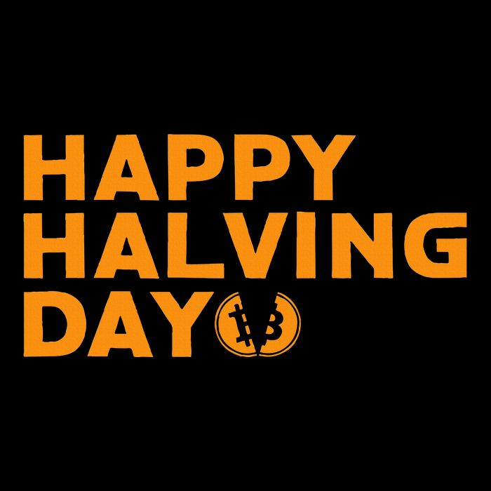 Bitcoin Halving Happy Halving Day Crypto Cryptocurrency Pom Pom 12in Knit Beanie