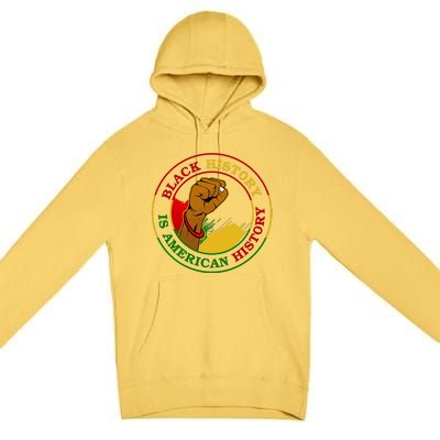 Black History Is American History Fist Premium Pullover Hoodie