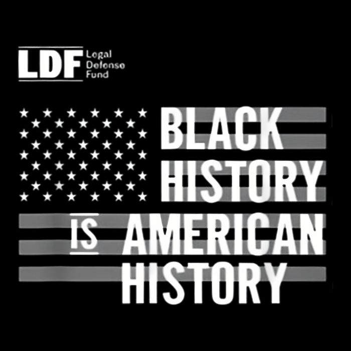Black History Is American History Ldf 16 in Basic Backpack