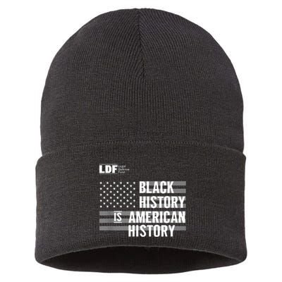 Black History Is American History Ldf Sustainable Knit Beanie