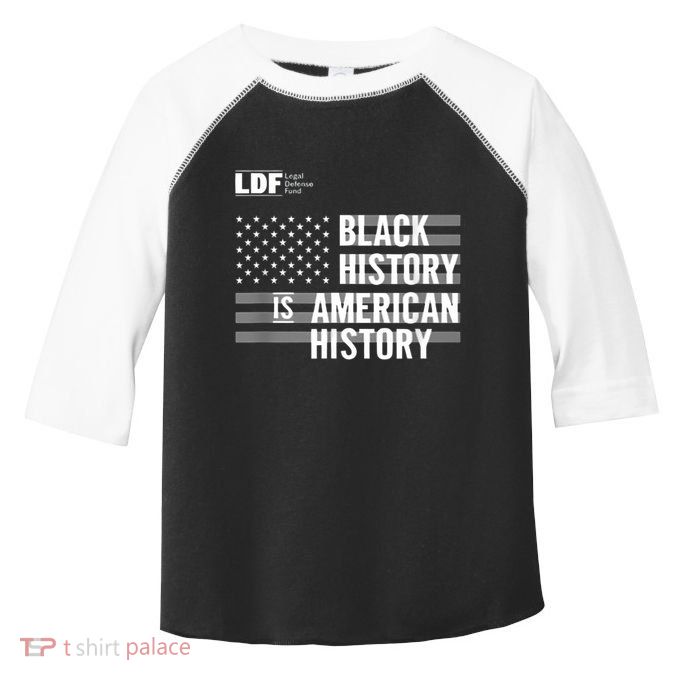 Black History Is American History Ldf Toddler Fine Jersey T-Shirt