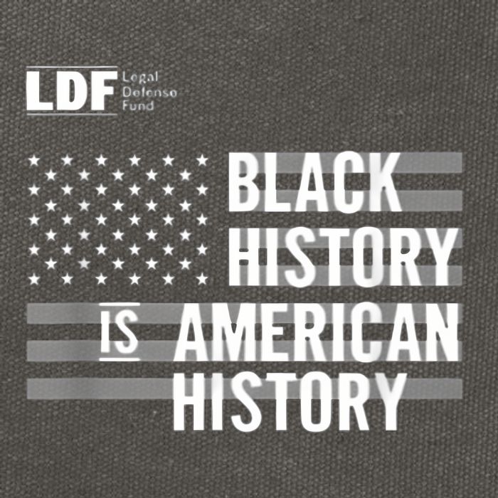 Black History Is American History Ldf Cotton Canvas Backpack