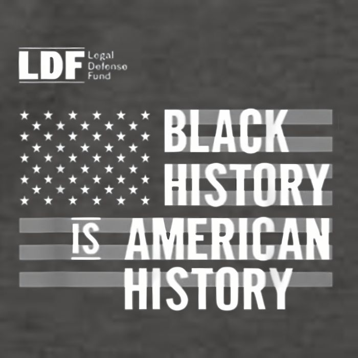 Black History Is American History Ldf Vector Backpack
