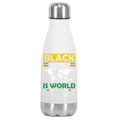 Black History Is World History Stainless Steel Insulated Water Bottle