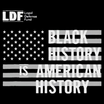 Black History Is American History Ldf T-Shirt