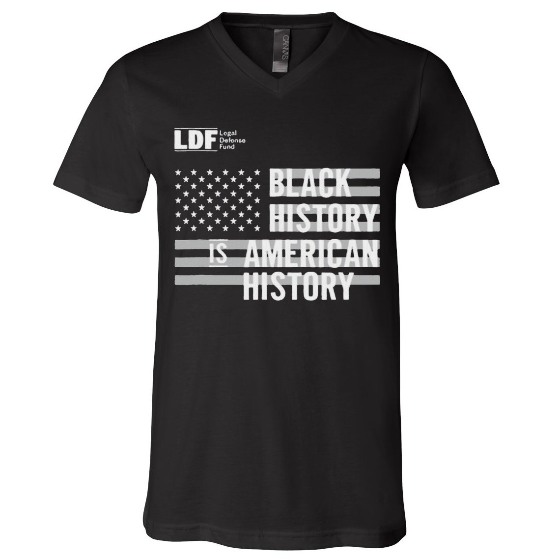 Black History Is American History Ldf V-Neck T-Shirt