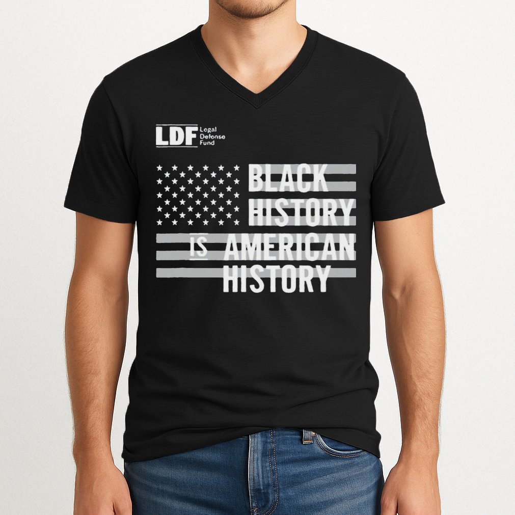 Black History Is American History Ldf V-Neck T-Shirt