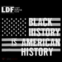 Black History Is American History Ldf Poster