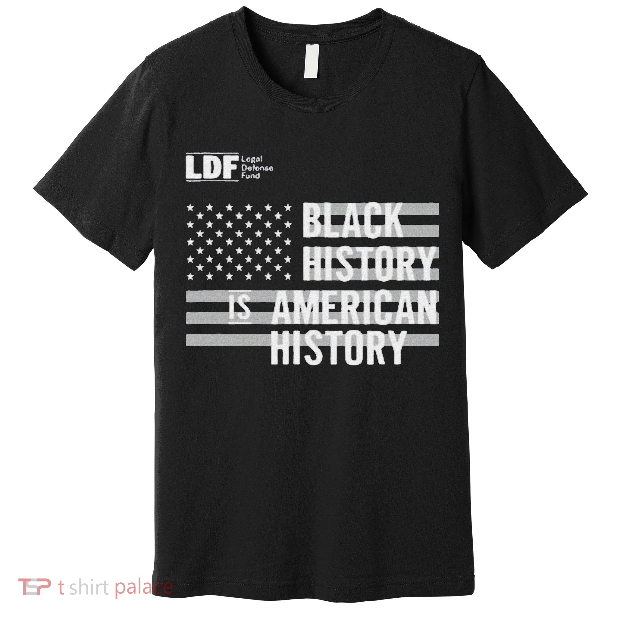 Black History Is American History Ldf Premium T-Shirt