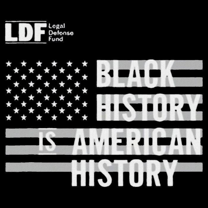 Black History Is American History Ldf Zip Tote Bag